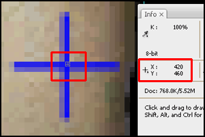Figure 5.10 - Coordinate Grab